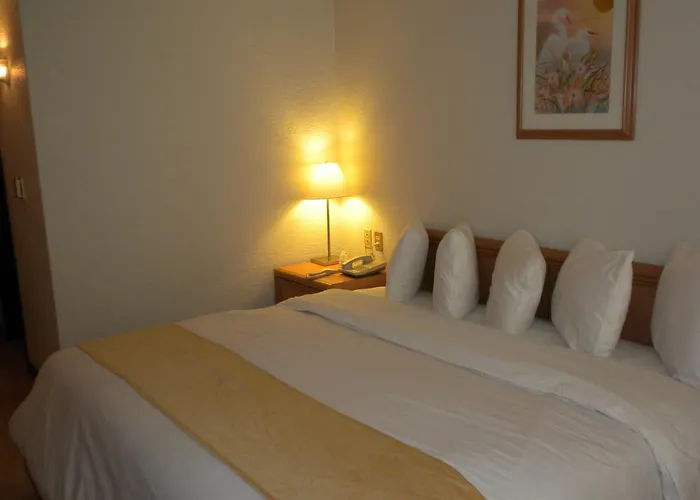 Hotel Pf México DF