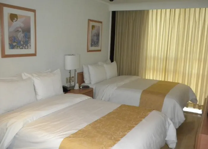 Hotel Pf 4*