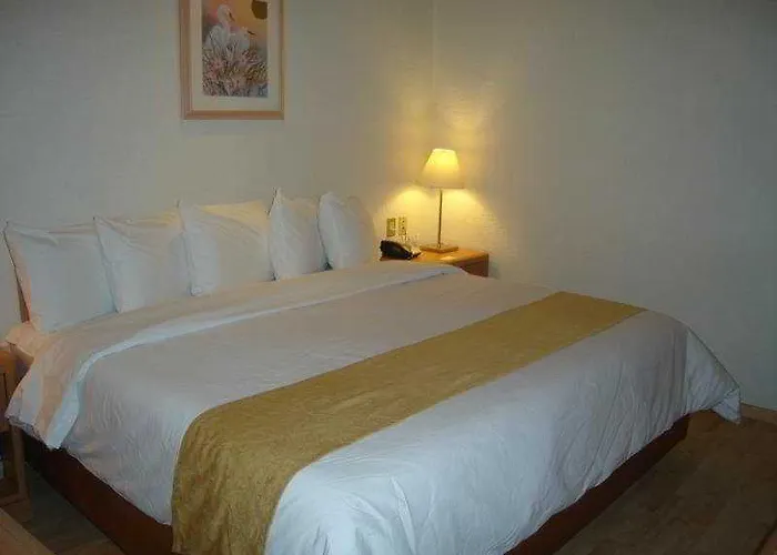 Pf Hotel