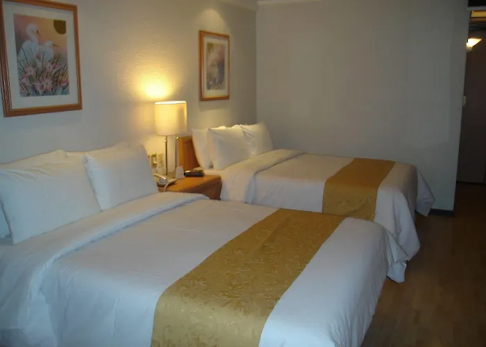 Hotel Pf México DF